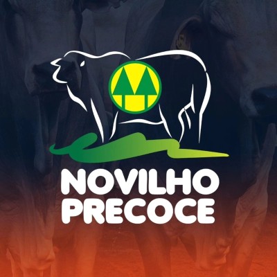 Novilho Precoce